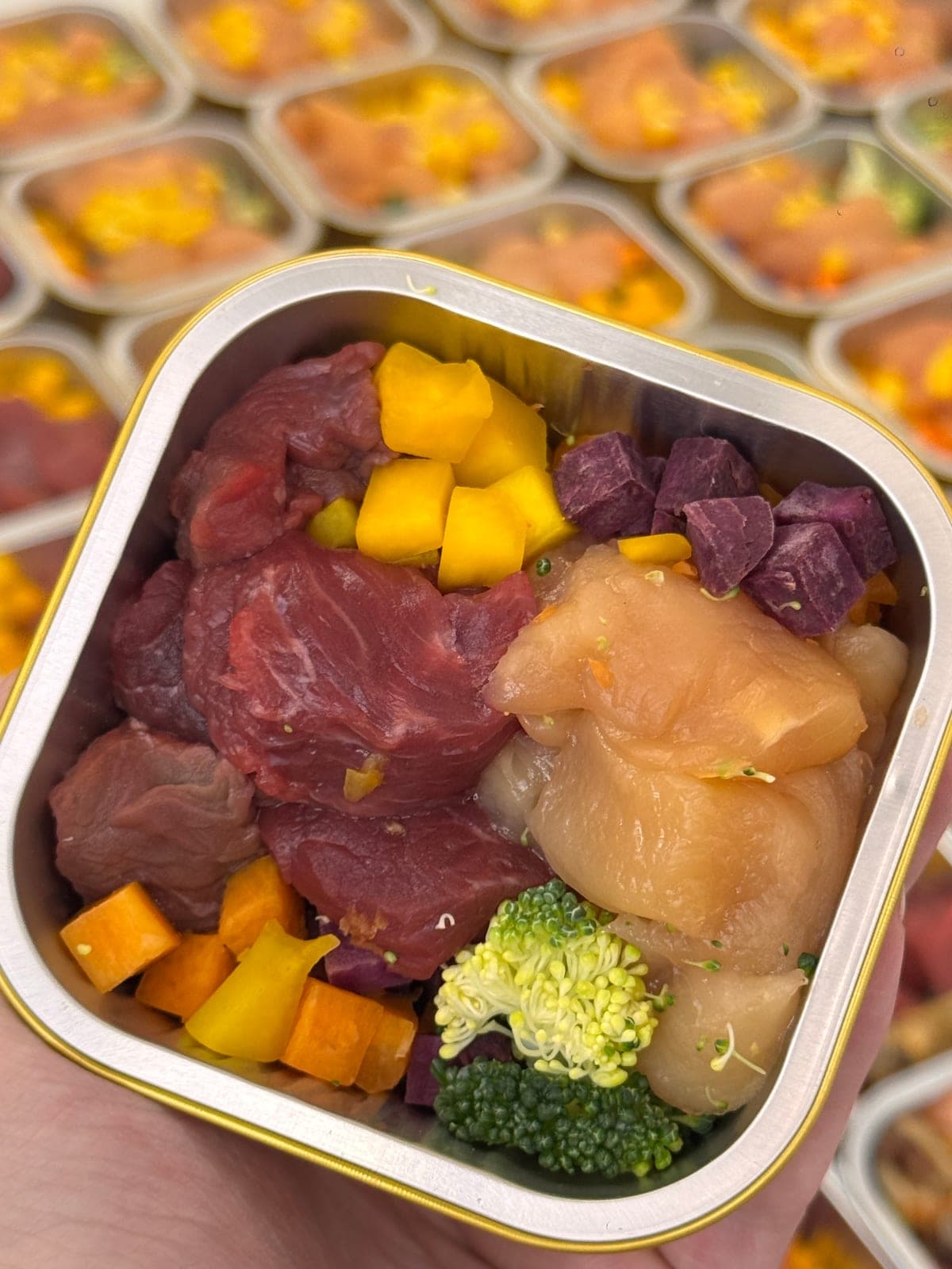 Energetic Chicken & Beef Meal