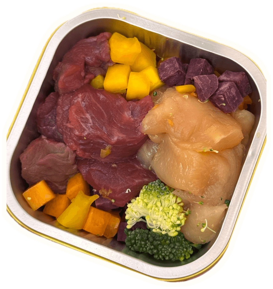 Energetic Chicken & Beef Duo