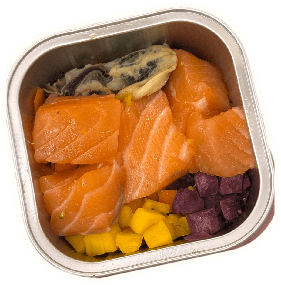 Senior Salmon Light Meal